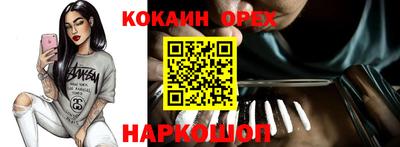 крисы Краснознаменск