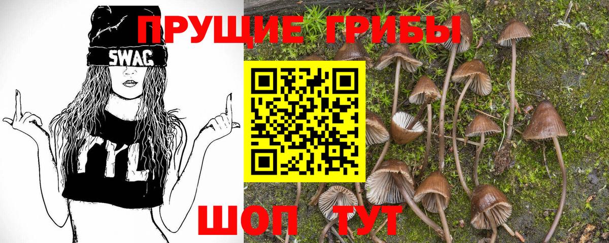 Псилоцибиновые грибы Psilocybine cubensis Соль-Илецк