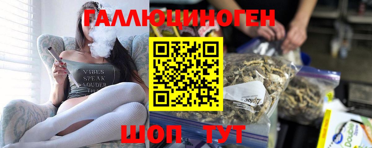 Соль-Илецк  Псилоцибиновые грибы Psilocybe  Вход с VPN 