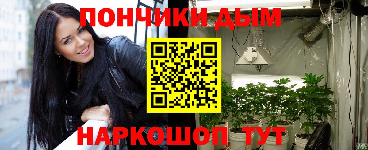 Шишки марихуана MAZAR  Канабис семена  Соль-Илецк  Канабис конопля  Шишки марихуана ГИДРОПОН  Вход с VPN 